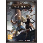 Pillars of Eternity 2: Deadfire (Obsidian Edition) – Zboží Dáma
