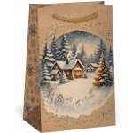 ARGUS Dárková papírová taška (10 x 16 cm) 08140096 – Zboží Mobilmania