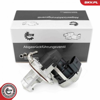 14SKV255 ESEN SKV Agr-ventil | Zboží Auto