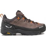 Salewa Alp Trainer 2 Gore Tex hnědé – Zboží Mobilmania