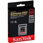 SanDisk SDC 256G SDCFE-256G-GN4NN – Zboží Mobilmania