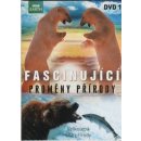 Fascinující proměny přírody DVD