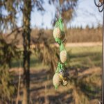 Esschert Design krmítko háčky v tmavě zelené – Hledejceny.cz