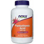 Now Foods Pantothenic Acid 500 mg 250 kapslí – Hledejceny.cz