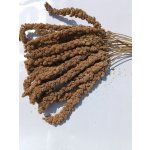 Fauna Hradil Senegalské proso žluté v klasech FAUNA 1 kg – Zboží Dáma