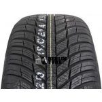 Nexen N'Blue 4Season 215/55 R16 97V – Hledejceny.cz