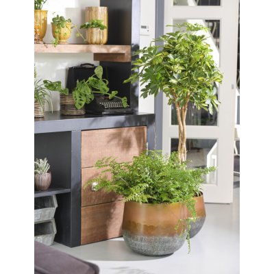Ter Steege Sada 2 váz Elisa mystic bronze D41 H68 – Hledejceny.cz