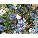 Zuty Malování podle čísel CHRPY MODRÉ – Zboží Dáma