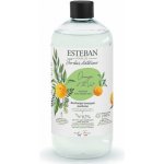 Esteban Paris Parfums náhradní náplň do difuzéru Nature Orange & Green Tea 500 ml – Zboží Dáma