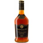 Stock Napoleon Ambassador 28% 0,7 l (holá láhev) – Zboží Dáma