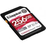 Kingston SDHC UHS-II 256 GB SDR2/256GB – Sleviste.cz