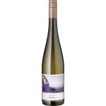 Schwedhelm Riesling Zellertal 2024 12,5% 0,75 l (holá láhev) – Hledejceny.cz