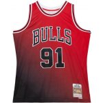 Mitchell and Ness Mitchell & Ness Chicago Bulls #91 Dennis Rodman – Sleviste.cz