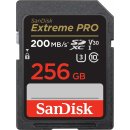 SanDisk SDXC UHS-I U3 256 GB SDSDXXD-256G-GN4IN