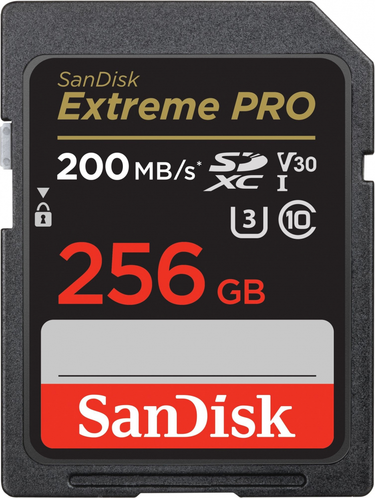 SanDisk SDXC UHS-I U3 256 GB SDSDXXD-256G-GN4IN