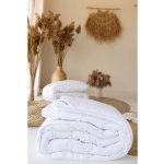 nanoSPACE Thermo antialergická přikrývka 600g/m2 140x220 – Zboží Dáma