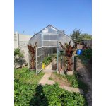 Gutta Gardentec Standard polykarbonát 4 mm 6x2,5 m 4394299 – Zboží Dáma