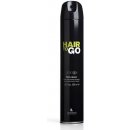 Lendan Hair to Go Fix 'n Move lak se silnou fixací 500 ml