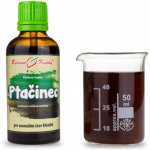 Bylinné kapky Pavlovy bylinné kapky Ptačinec tinktura 50 ml – Hledejceny.cz