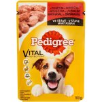 Pedigree hovězí a jehněčí 100 g – Hledejceny.cz