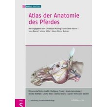 Atlas der Anatomie des Pferdes - Mülling, Christoph K. W.