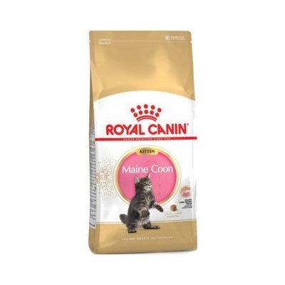 Royal Canin Breed Feline Kitten Maine Coon 0,4 kg – Zboží Mobilmania