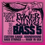Ernie Ball 2821 – Zboží Mobilmania