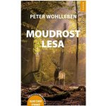 Moudrost lesa - Peter Wohlleben – Zbozi.Blesk.cz
