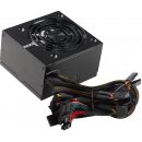 EVGA 600 W1 600W 100-W1-0600-K2