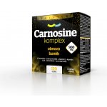 Salutem Carnosine komplex 900 mg 60 tablet – Hledejceny.cz