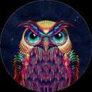 PopSocket Owl