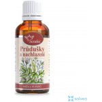 Serafin Průdušky a nachlazení směs z pupenů 50 ml – Hledejceny.cz