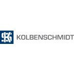 KOLBENSCHMIDT Ojnice KLB 50009249 | Zboží Auto