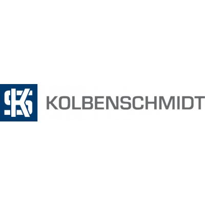KOLBENSCHMIDT Ojnice KLB 50009249 | Zboží Auto
