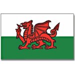 Vlajka Severní Wales 30 x 45 cm na tyčce – Hledejceny.cz