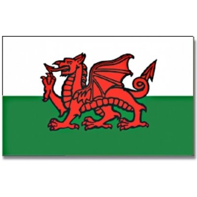 Vlajka Severní Wales 30 x 45 cm na tyčce – Hledejceny.cz