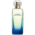 Hermès Un Jardin Aprés La Mousson toaletní voda unisex 100 ml tester – Hledejceny.cz