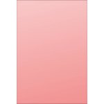 Karton P+P L A4 Obaly na doklady silné červené 10 ks – Zboží Živě