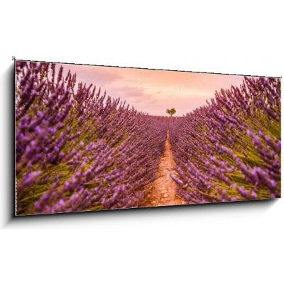 Obraz 1D panorama - 120 x 50 cm - Dramatic sunset landscape. Tree in lavender field at sunset in Provence, France – Zbozi.Blesk.cz