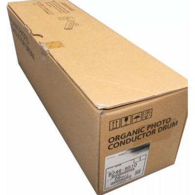 Ricoh B1219645 - originální – Zboží Živě