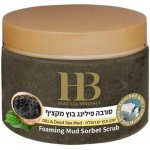 H&B Dead Sea Minerals Pěnový bahenní peeling 450 g – Zbozi.Blesk.cz