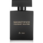 Valavani Magnetifico Pheromone selection pro muže100ml