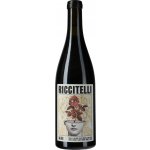 Matias Riccitelli Vinas Extremas Los Chacayes Malbec 2019 Červené 14% 0,75 l (holá láhev) – Hledejceny.cz