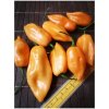 Jednodruhové koření ChilliTop Habanero Peach 19 CC5 31 1 sušené Chilli 1 g