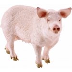Schleich Pig 13933 – Zboží Mobilmania