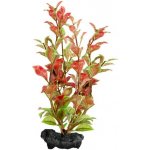 Tetra rostlina Red Ludwigia 23 cm – Zboží Mobilmania