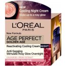 Přípravek na vrásky a stárnoucí pleť L'Oréal Age Perfect Golden Age noční protivráskový krém (Rich Re-Fortifying Cream) 50 ml