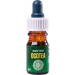 Trávníček esenciální olej Ocotea Extra 100% 5 ml – Hledejceny.cz