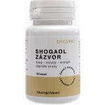 Epigemic Shogaol Zázvor 30 kapslí – Hledejceny.cz