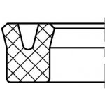 Gufero 55x65x10 ČSN 029269.3 PU univerzální manžeta – Zbozi.Blesk.cz